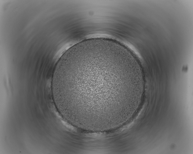 X0000092080937200709191222