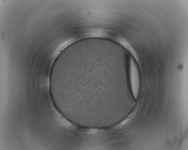 X0000092080938200709191222