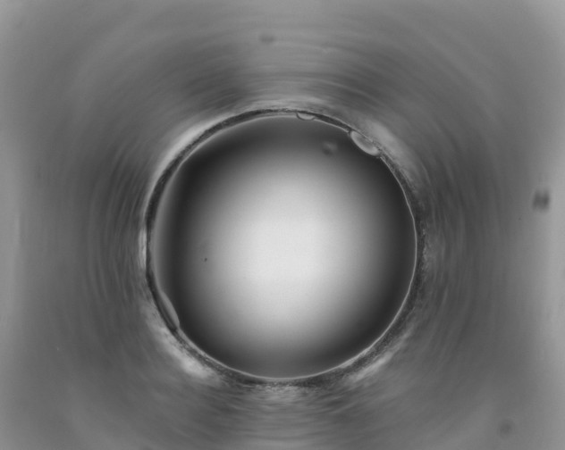 X0000092080940200709191222