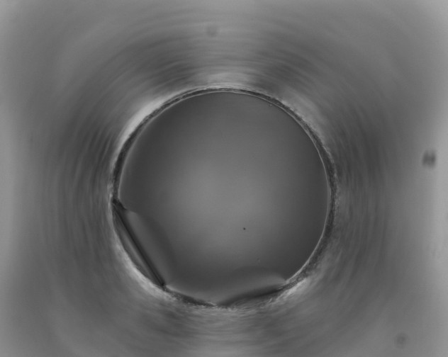 X0000092080941200709191222
