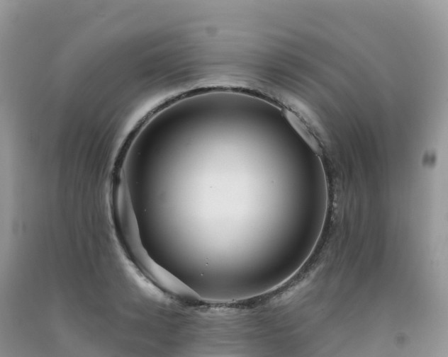 X0000092080942200709191222