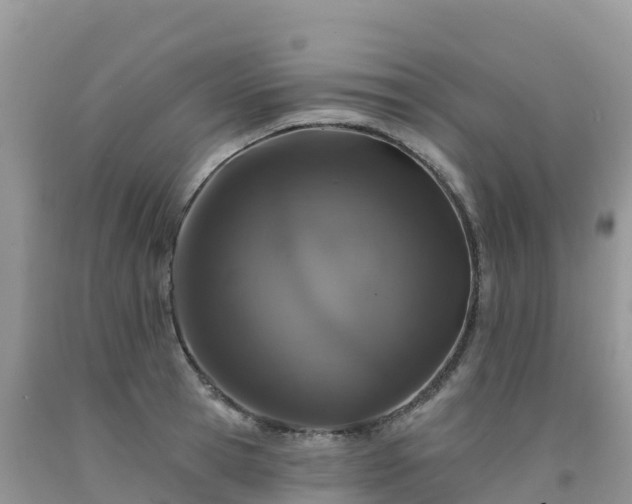 X0000092080945200709191222