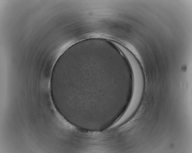 X0000092080946200709191222