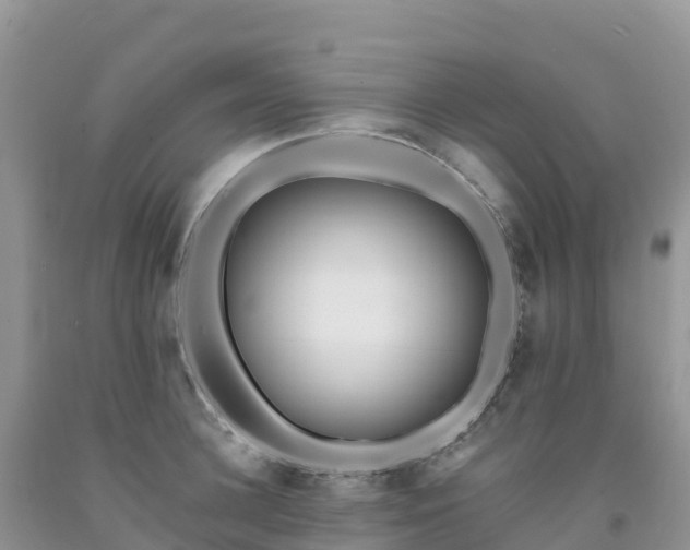 X0000092080948200709191222