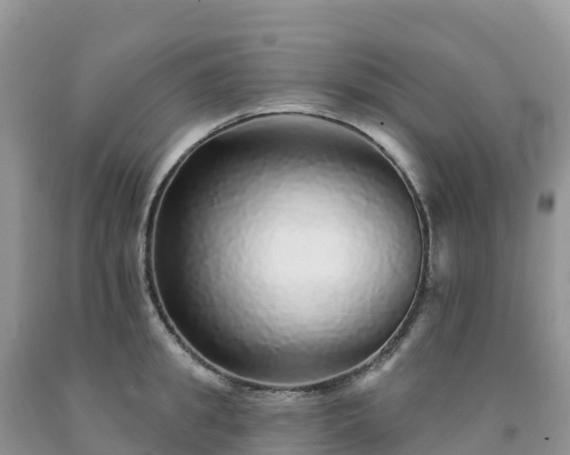 X0000092080949200709191222