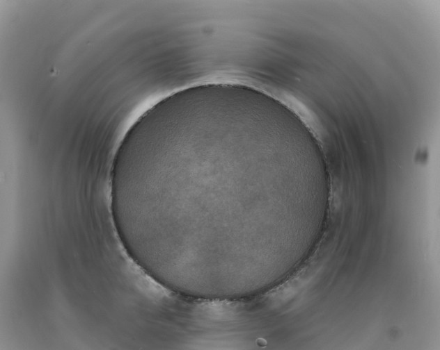 X0000092080950200709191222