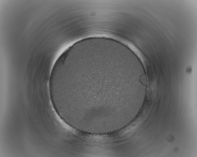 X0000092080951200709191222
