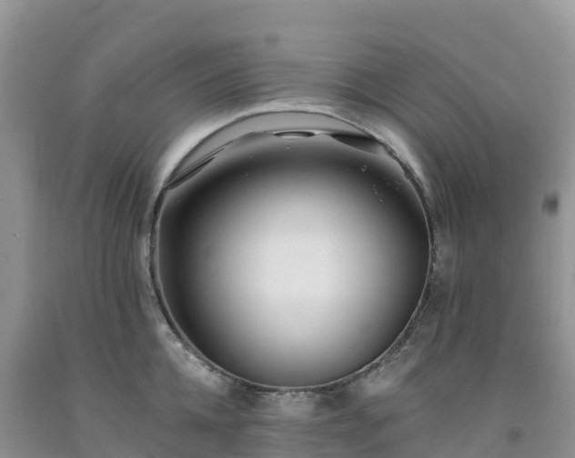 X0000092080952200709191222