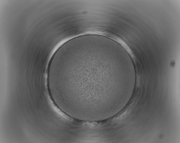X0000092080955200709191222