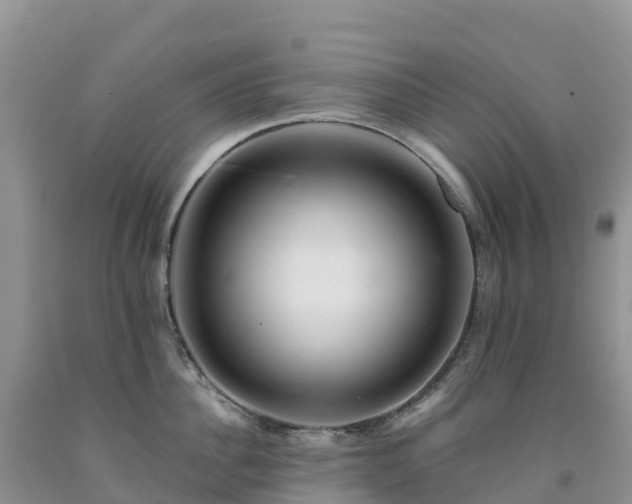 X0000092080956200709191222
