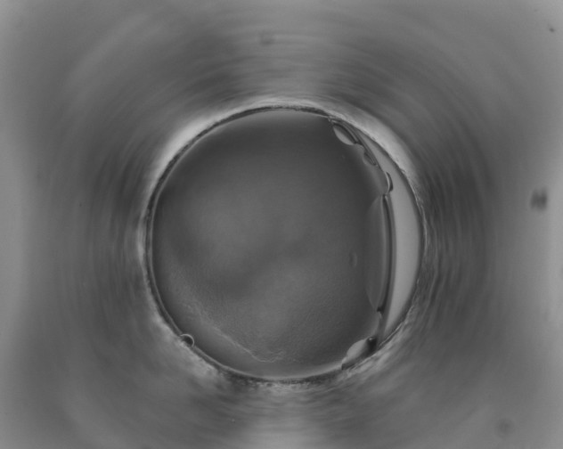 X0000092080958200709191222