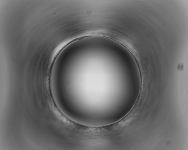 X0000092080960200709191222