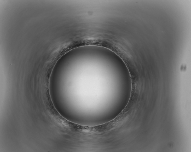 X0000092080961200709191221