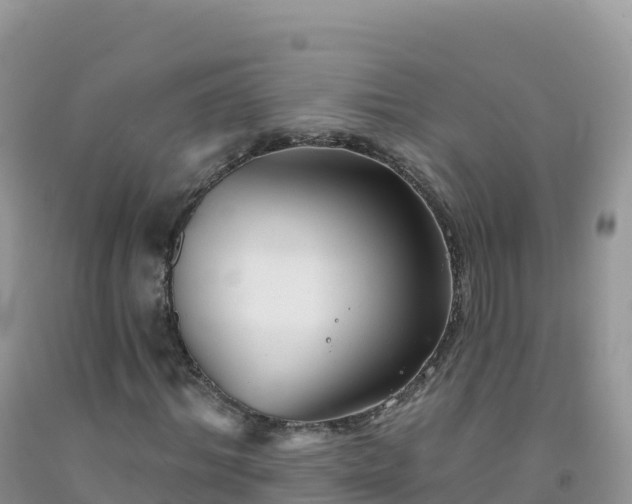 X0000092080964200709191221