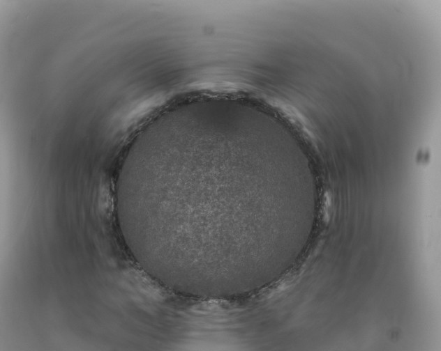 X0000092080966200709191221