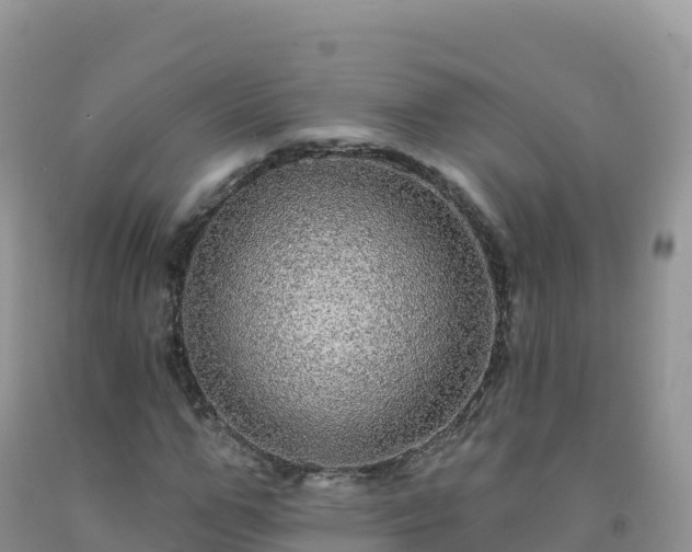 X0000092080967200709191221