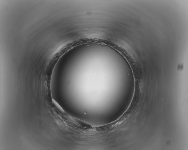X0000092080968200709191221