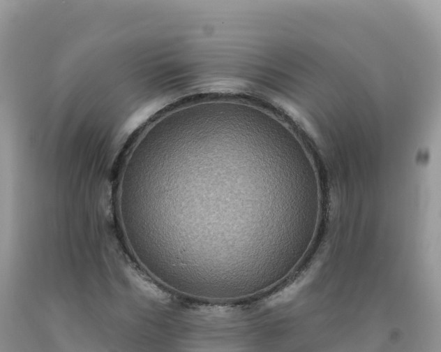 X0000092080970200709191221