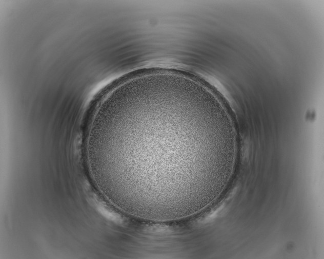 X0000092080971200709191221