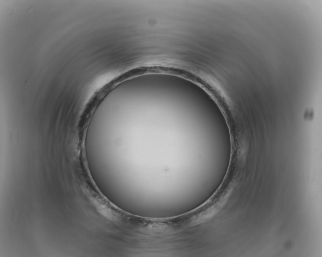 X0000092080974200709191221