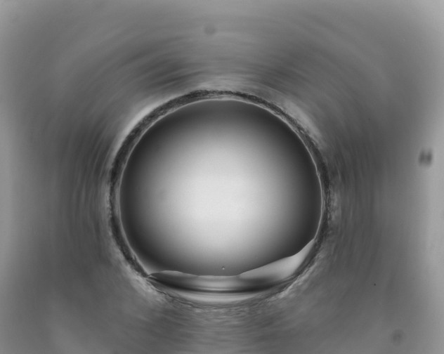X0000092080976200709191221