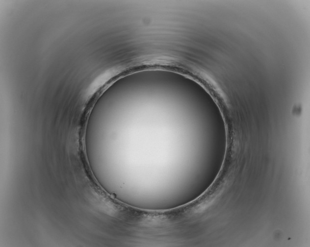 X0000092080978200709191221