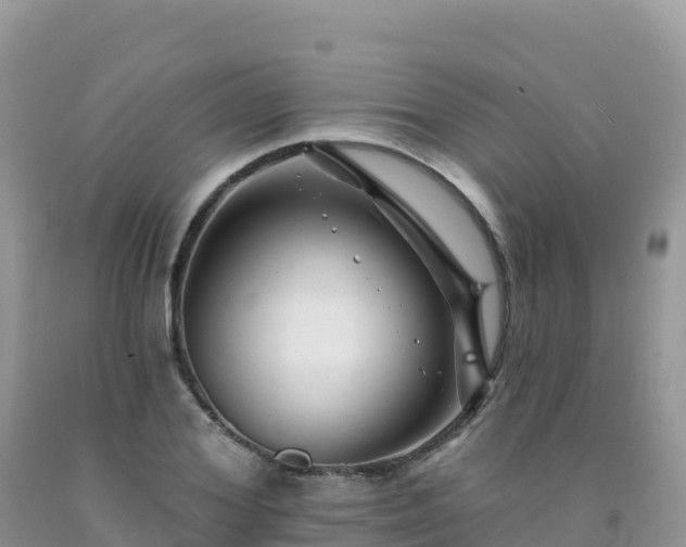 X0000092080980200709191221