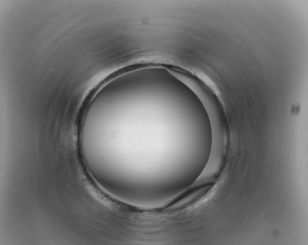X0000092080981200709191221
