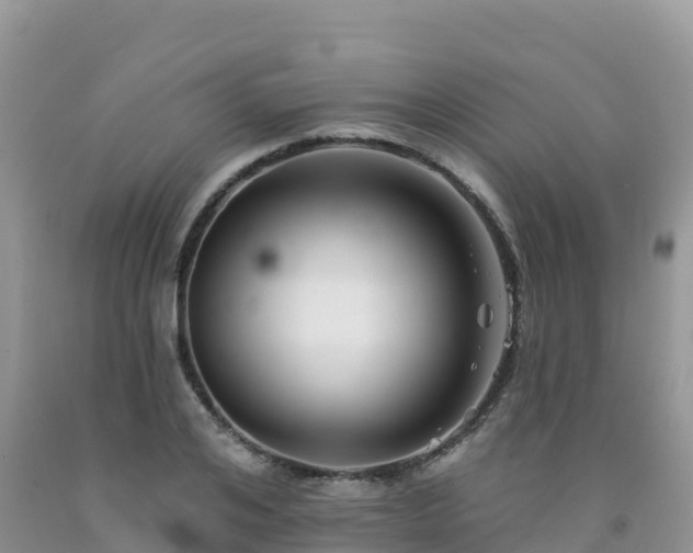 X0000092080984200709191221