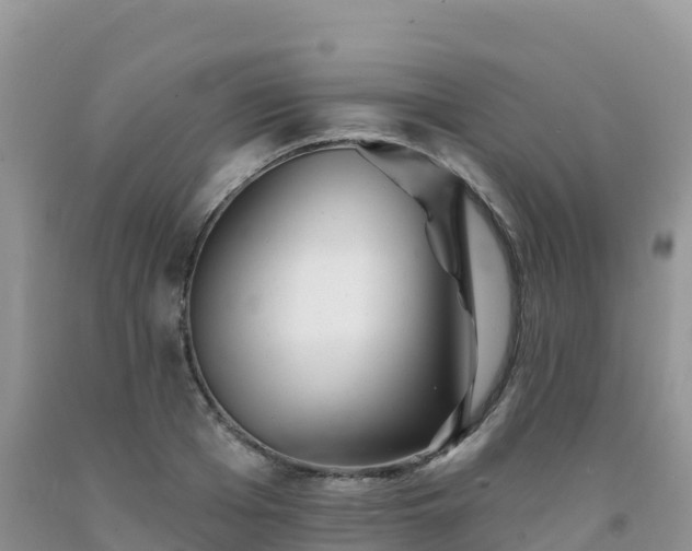 X0000092080985200709191221