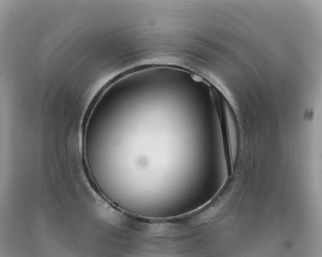 X0000092080988200709191221