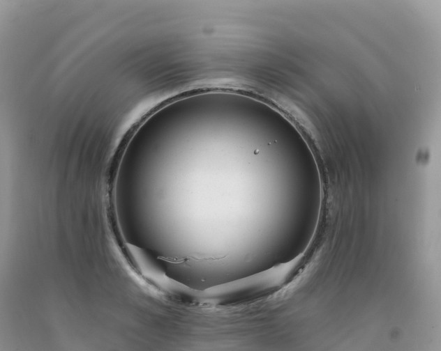 X0000092080989200709191221