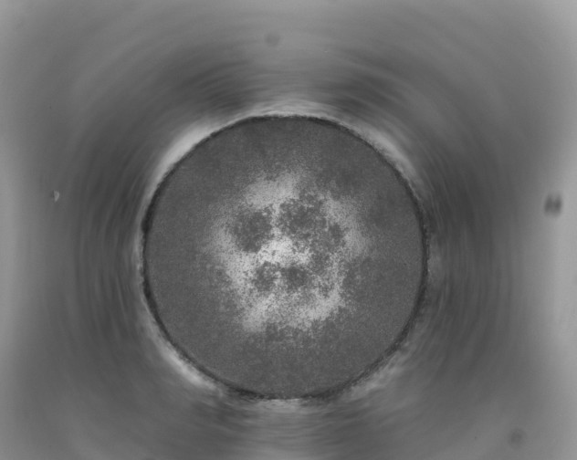 X0000092080990200709191221