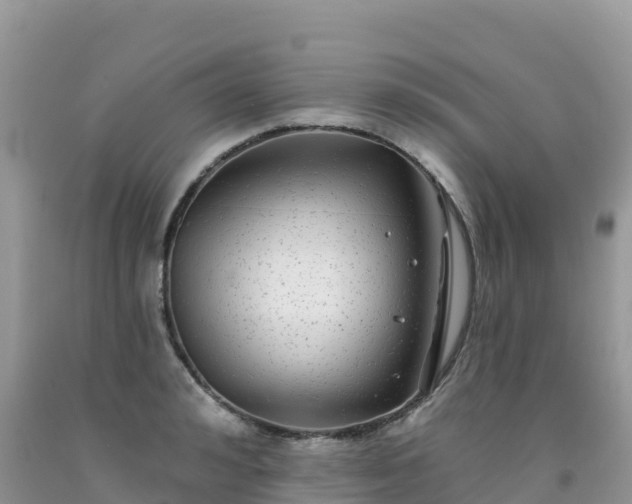 X0000092080992200709191221
