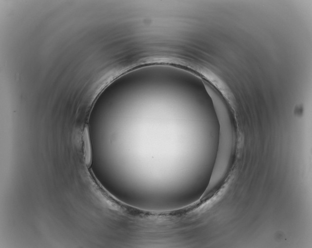X0000092080993200709191221