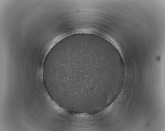 X0000092080994200709191221