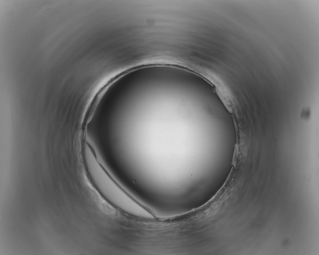 X0000092080996200709191221