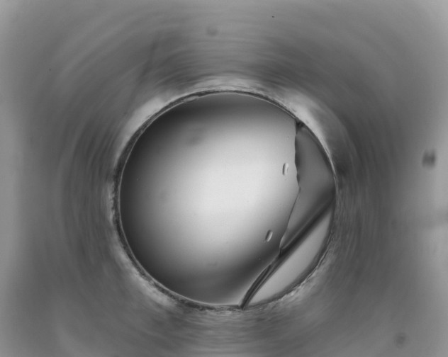 X0000092080997200709191221