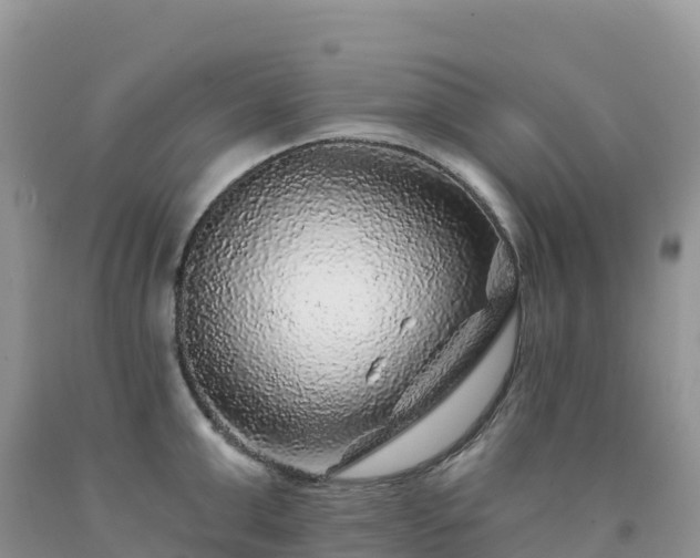 X0000092080999200709191221
