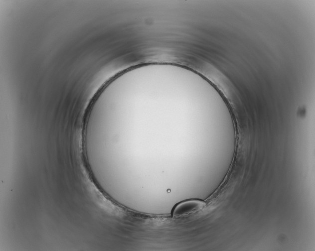 X0000092081000200709191221