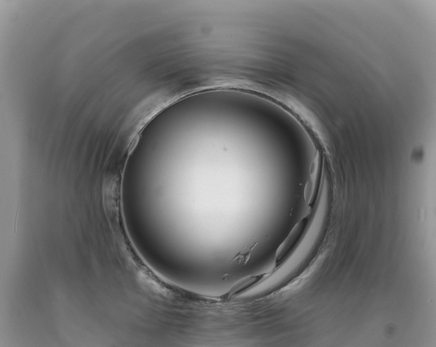 X0000092081001200709191221