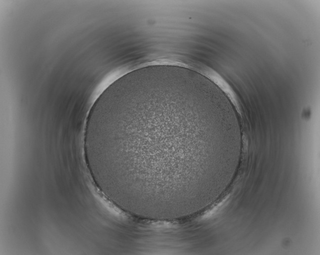 X0000092081002200709191221