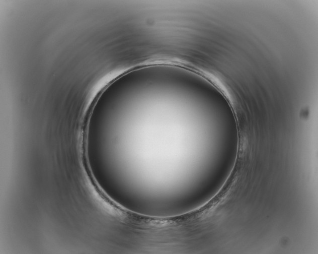 X0000092081003200709191221