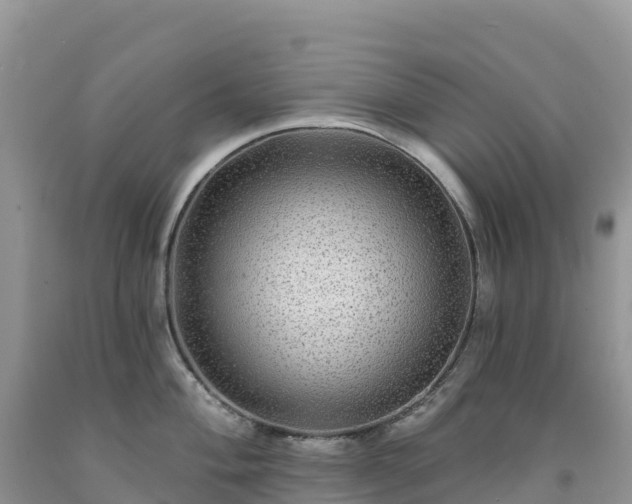 X0000092081004200709191221
