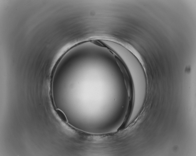 X0000092081005200709191221