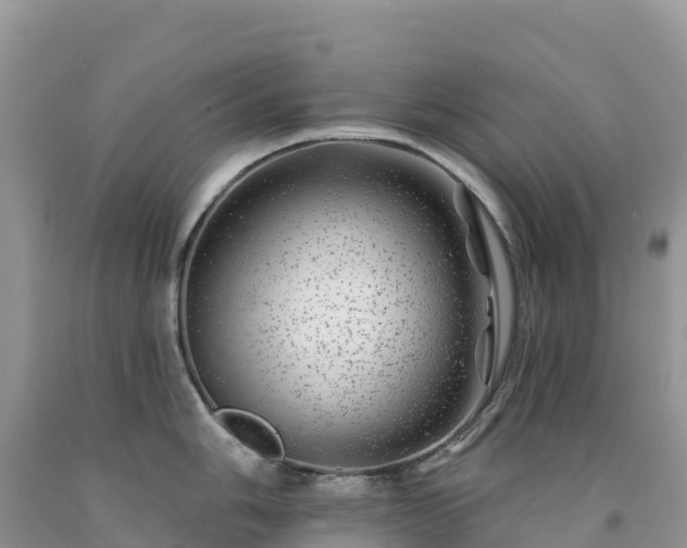 X0000092081006200709191221