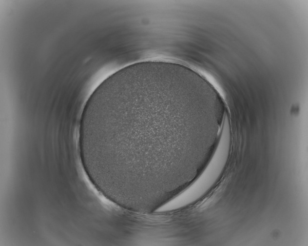 X0000092081007200709191221