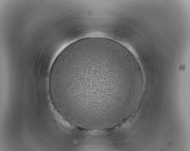 X0000092081008200709191221