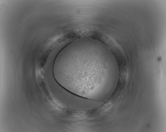 X0000092081010200709191220