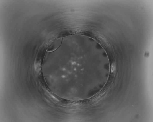 X0000092081011200709191220